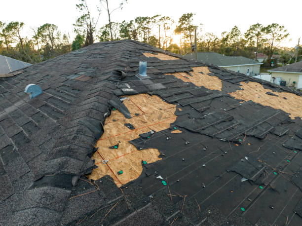 Best Roof Moss and Algae Removal  in Gilroy, CA